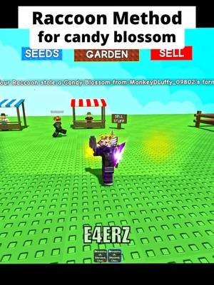 Raccoon Method for Candy Blossom to get rich 🔥 #growagarden #roblox #fyp