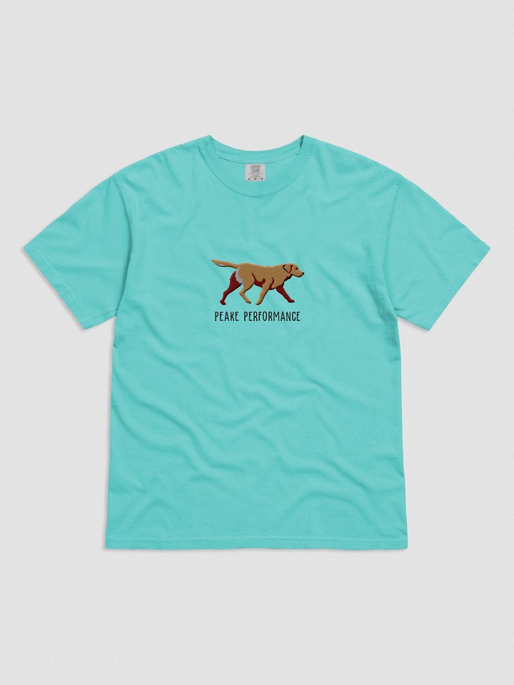 Peake Performance T-Shirt(Embroidered) of a Chesapeake Bay Retriever(Tan) product image (31)