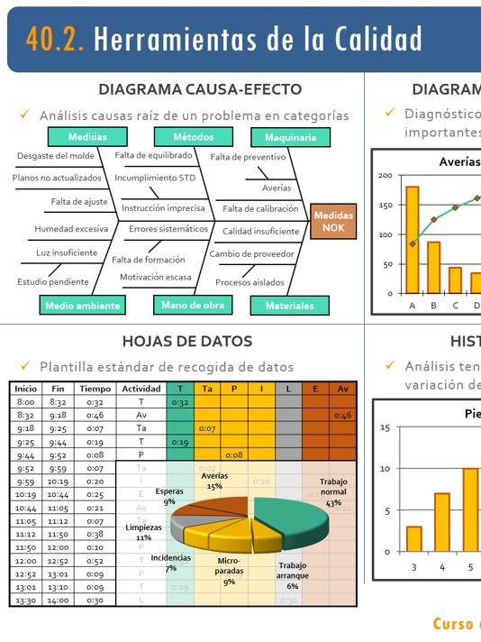 40. TQM (Total Quality Management). Calidad Total product image (1)