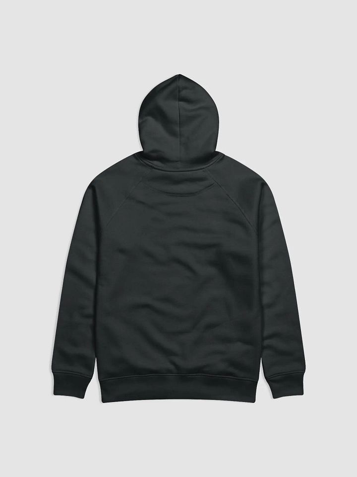 TURNTABLIST.ORG ILLUSION HOODIE product image (2)