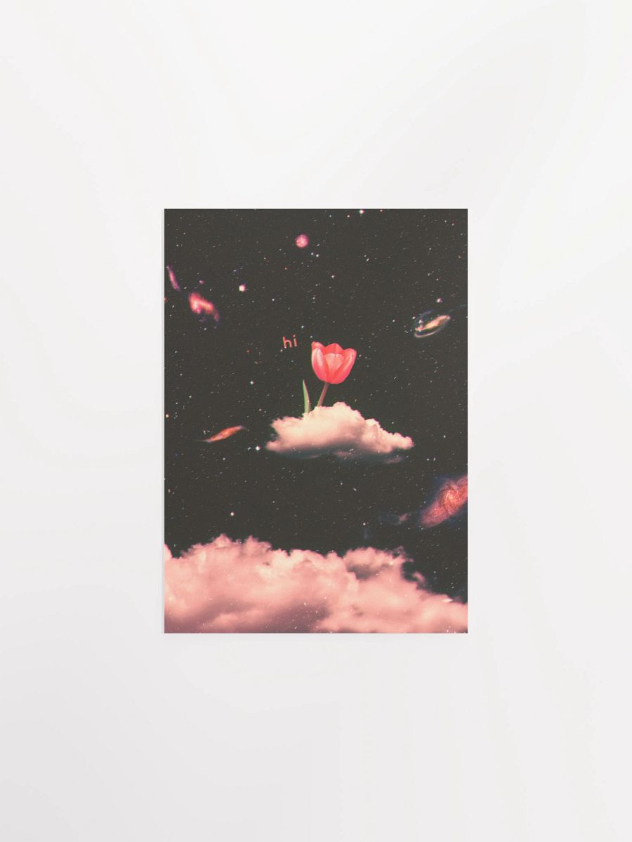 hi product image (3)