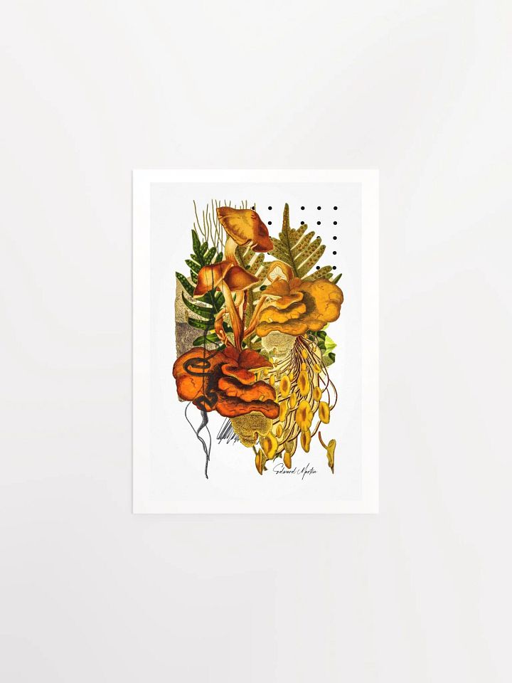 Woodland Collage Print by Edward Martin-Enchanted Foliage: Mushroom Collage Poster product image (2)