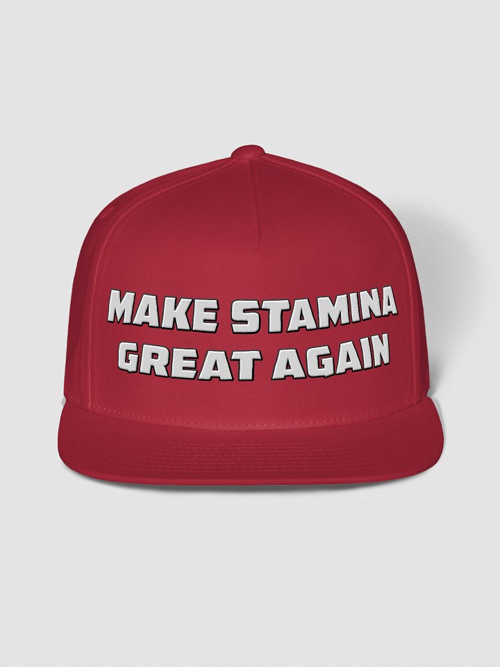 Make Stamina Great Again Snapback product image (1)