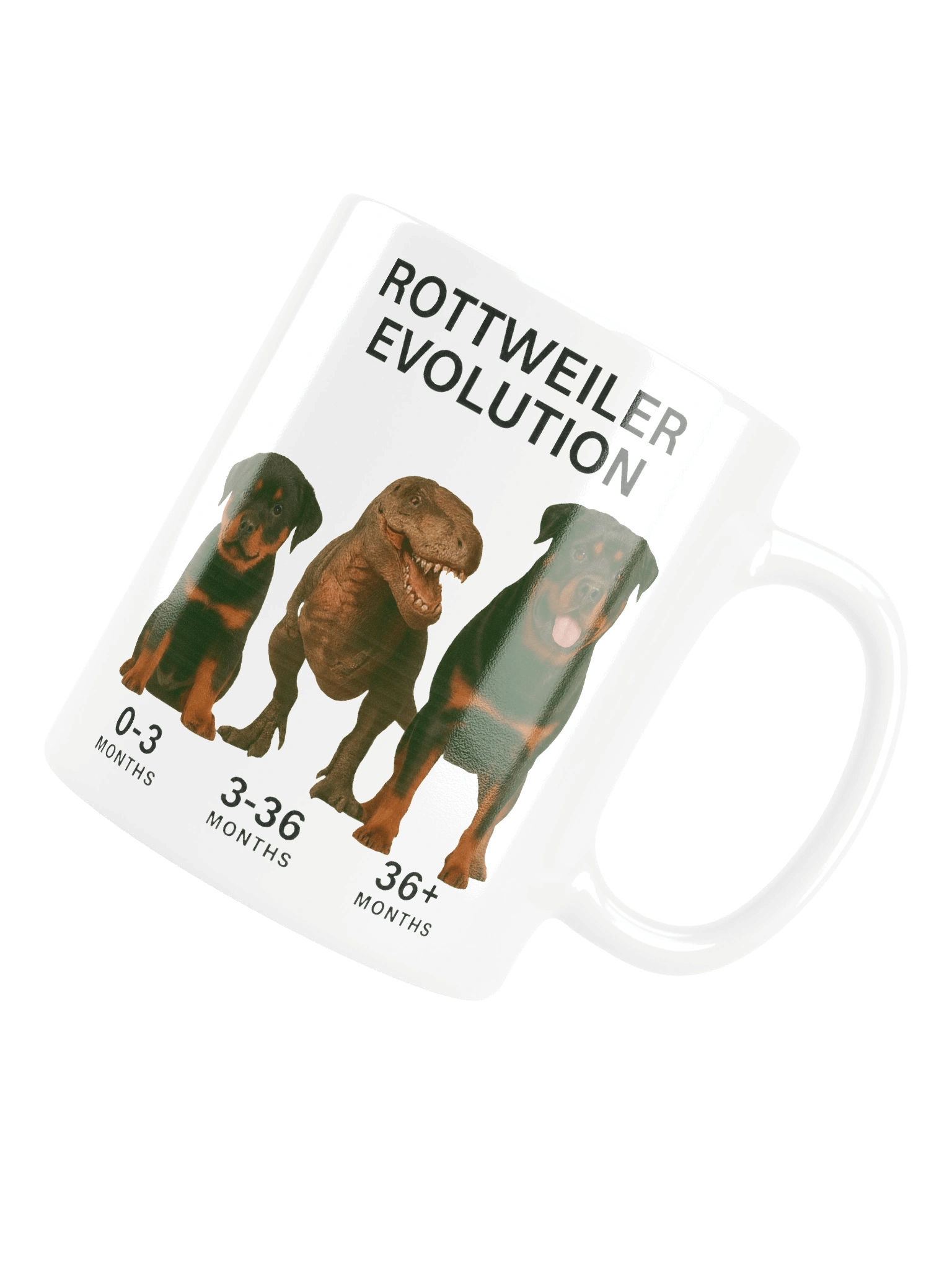Rottweiler Evolution Mug product image (14)