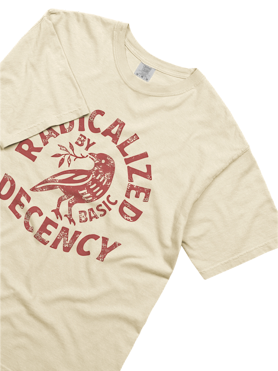 Radicalized by Basic Decency Shirt Radicalized by Basic Decency V-Neck T-Shirt product image (3)
