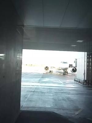 ready to fly high #letsgo 