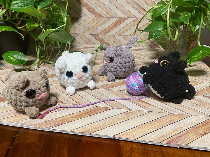 Kitten product image (1)