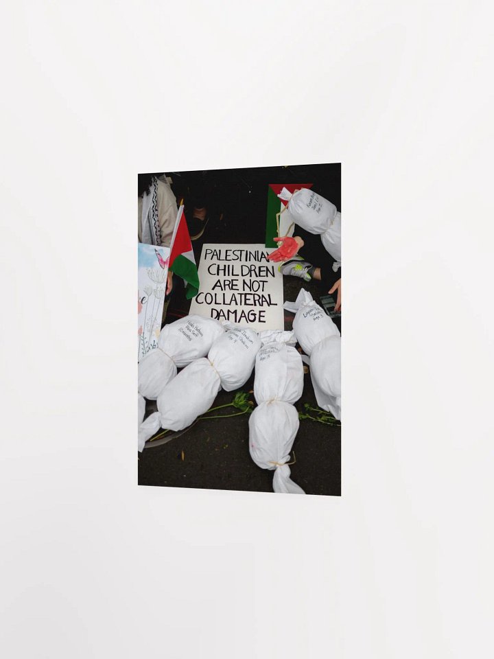 Collateral Damage (no frame) product image (2)