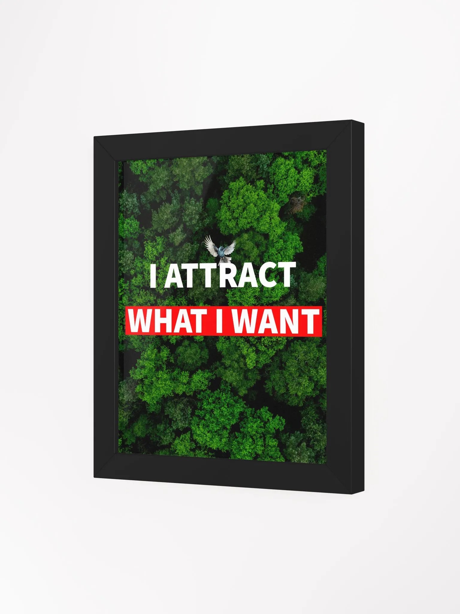 i attract what i want product image (9)