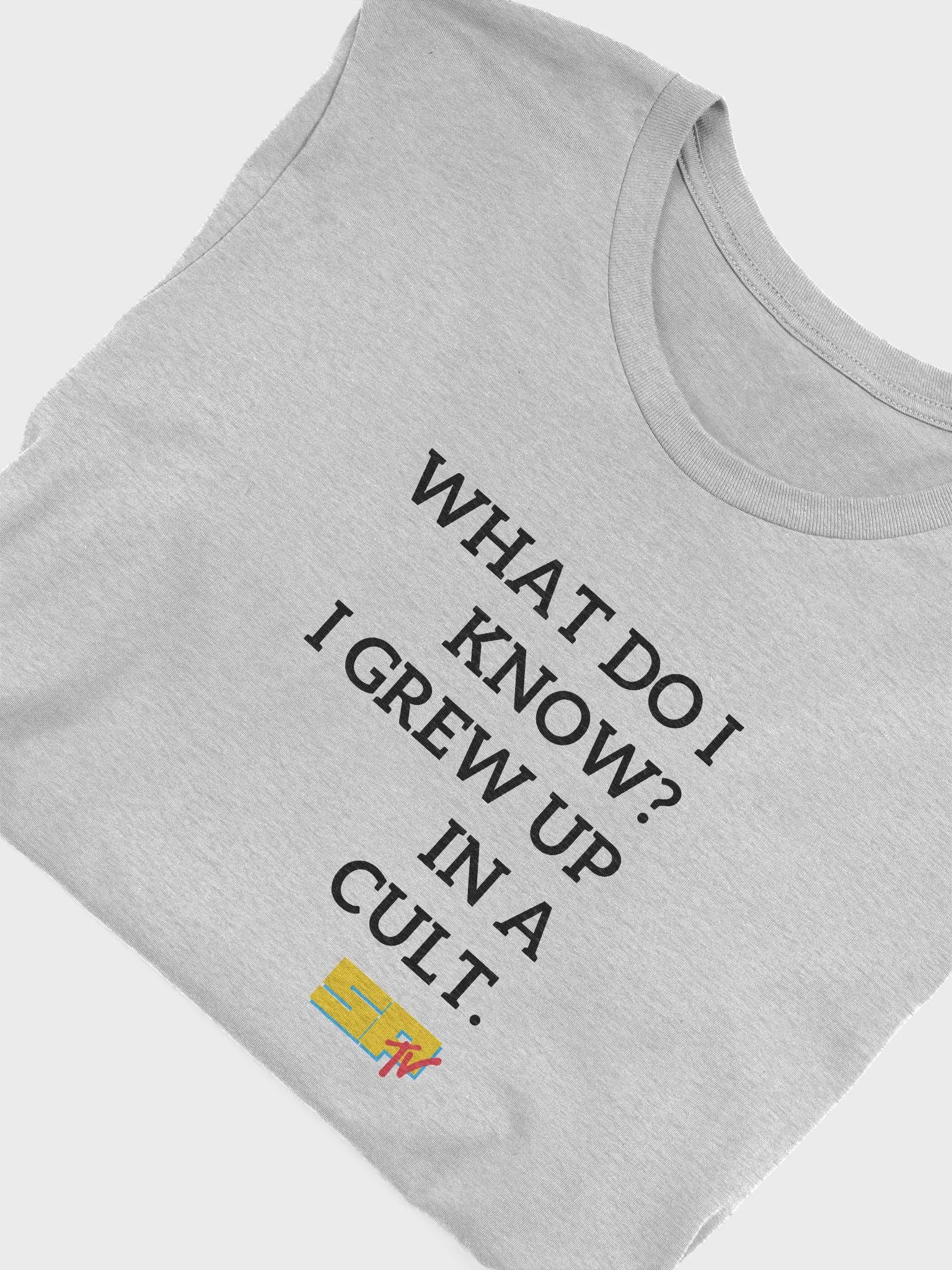 What Do I Know? Right. B on W. Bella Super Soft T-Shirt product image (50)