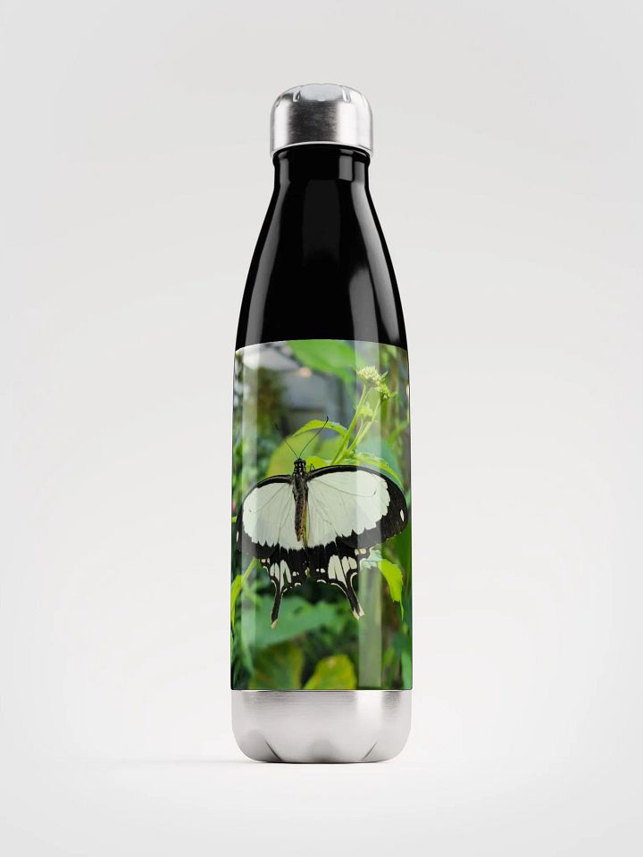 Mocker Swallowtail Tropical Butterfly Stainless Steel Water Bottle product image (2)