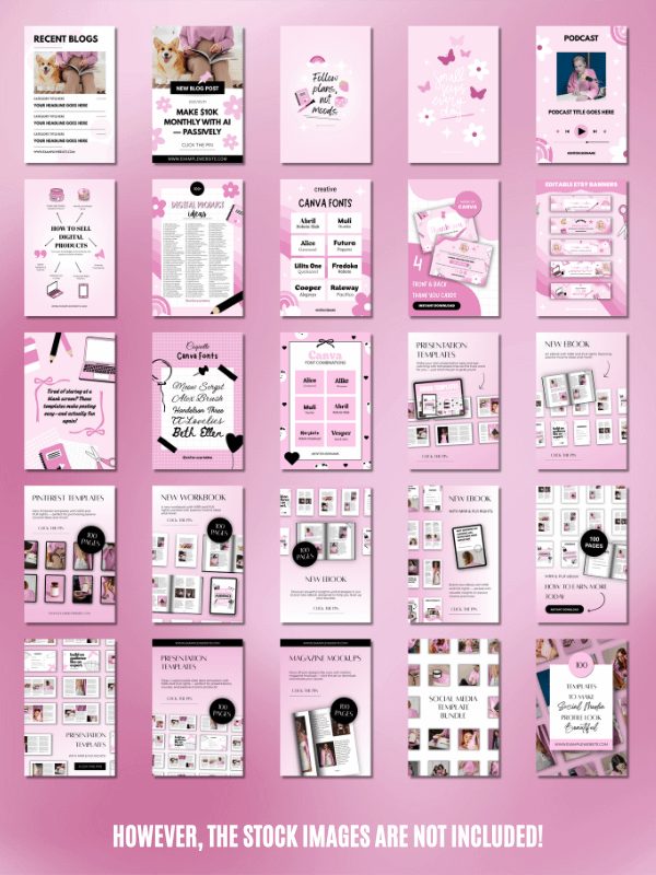 MRR/PLR Pinterest Templates for Digitals product image (5)