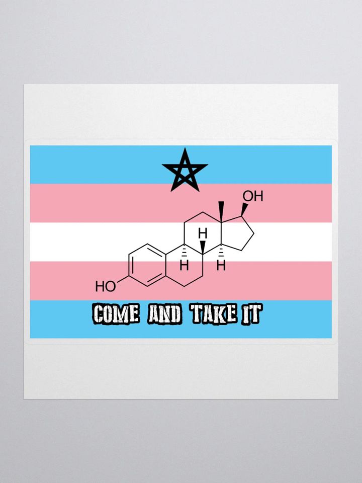 Come and Take It (sticker edition) product image (1)