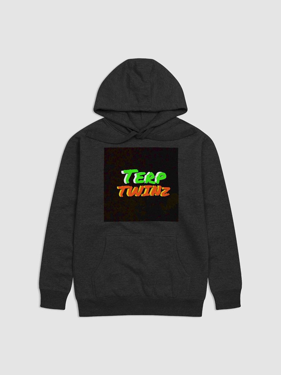 terptwinzhoodie product image (1)