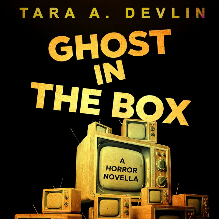 Ghost in the Box (Reiwa Tanpen) (audiobook) product image (1)