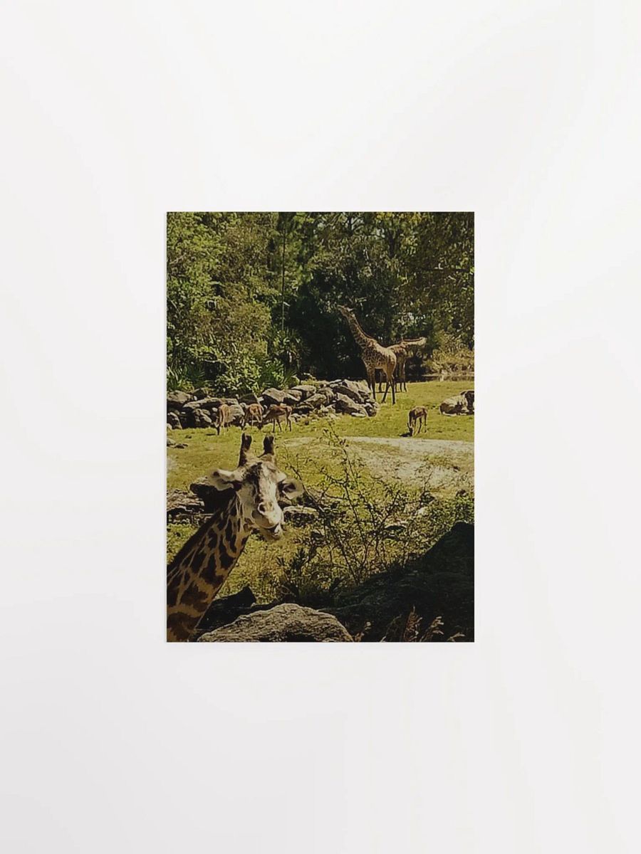 Giraffe Sanctuary product image (7)