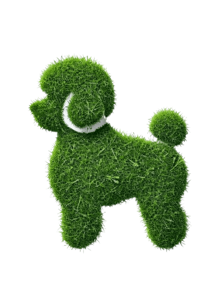 GreenPoodle product image (1)