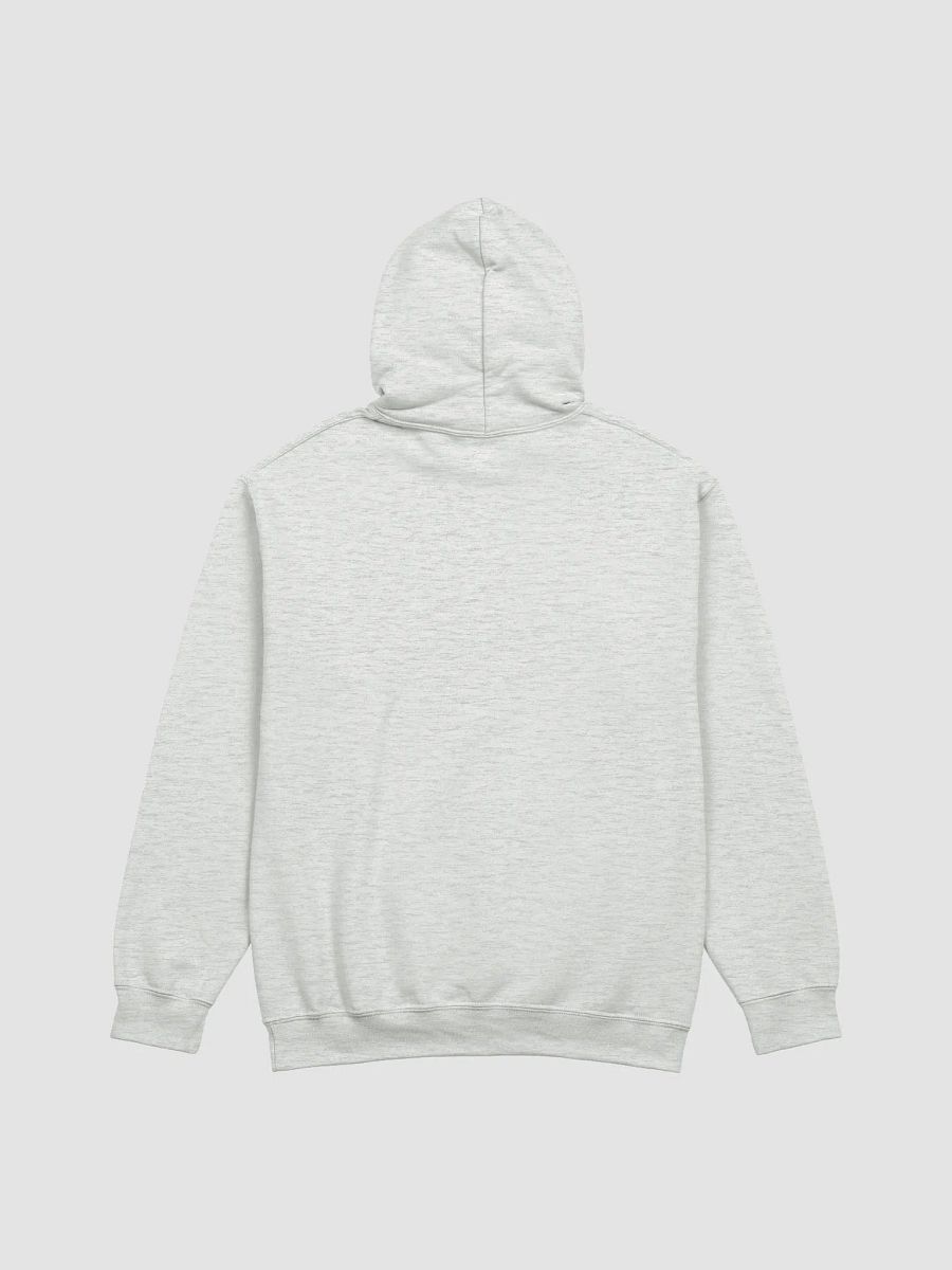 Normal Gender Harmony Hoodie product image (2)