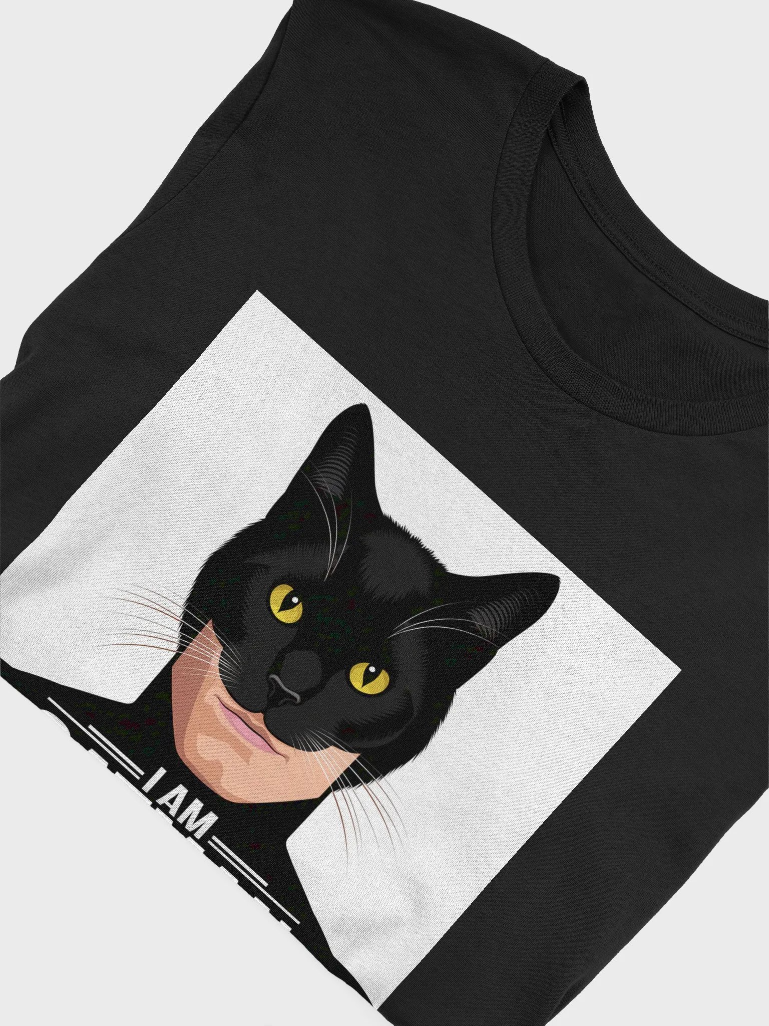 Catman Unleashed T-Shirt product image (5)