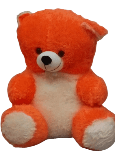 TEDDY BEAR product image (1)