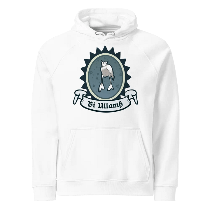 Ulchabhán Bí Ullamh SOL'S Eco Raglan Cochaill (Front Patch) product image (1)
