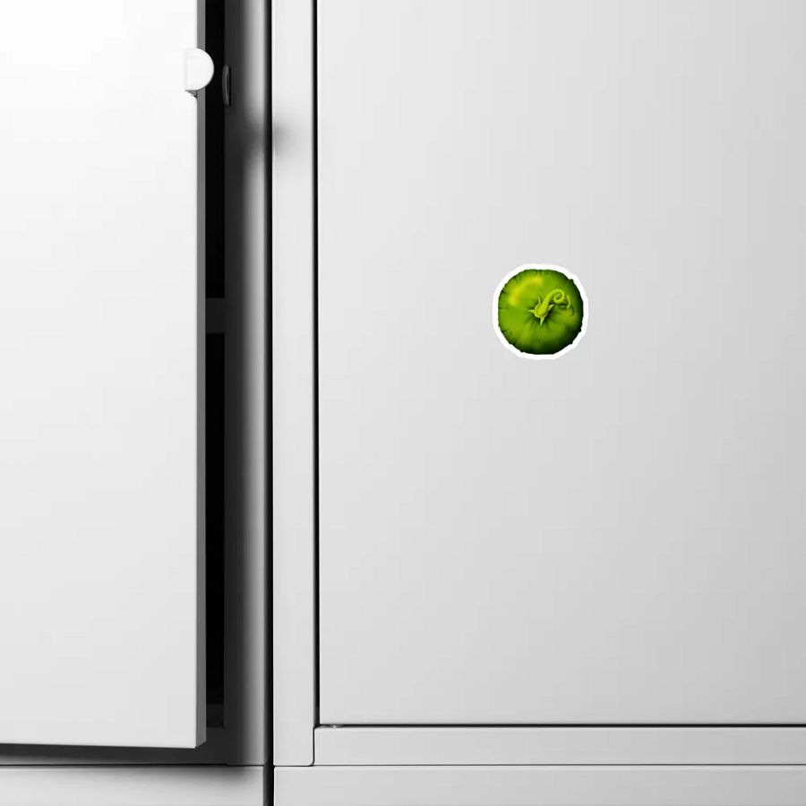 Pickle Butt Magnet product image (10)