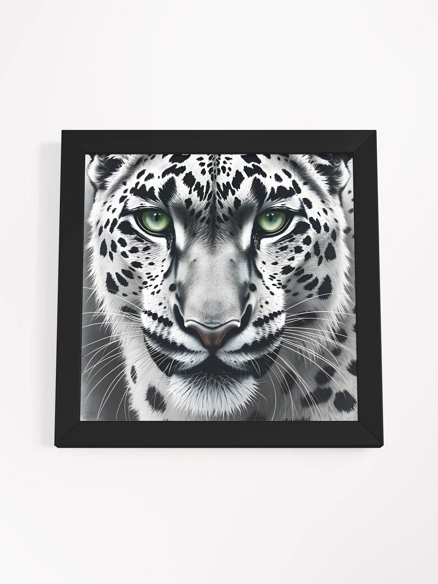 Snowleopard product image (53)