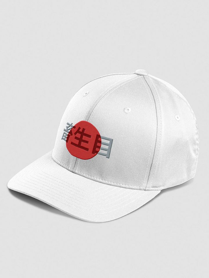 Japan product image (2)