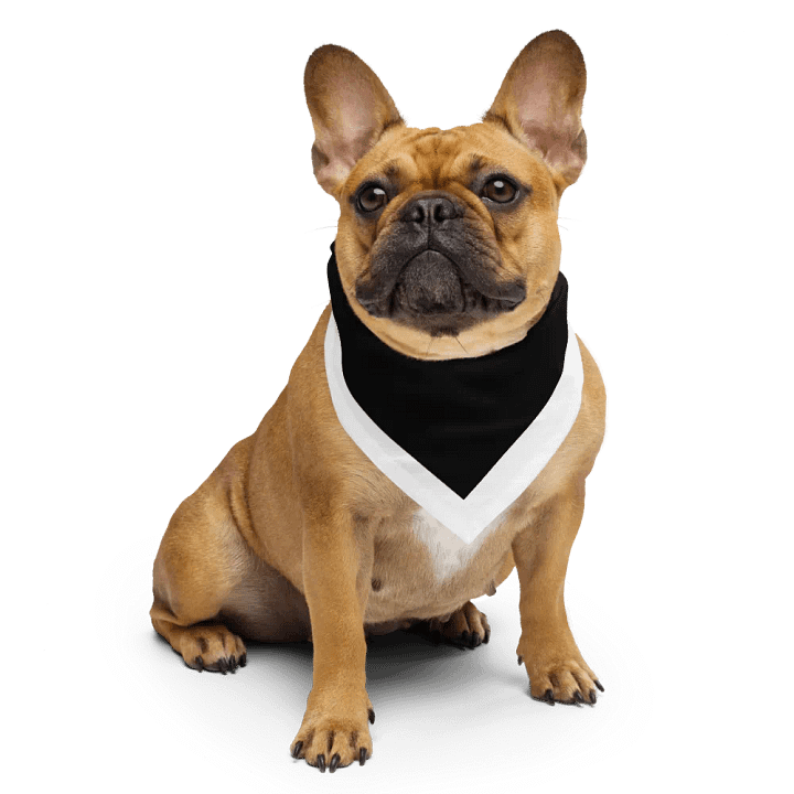 Rewind Logo All-Over Bandana product image (2)