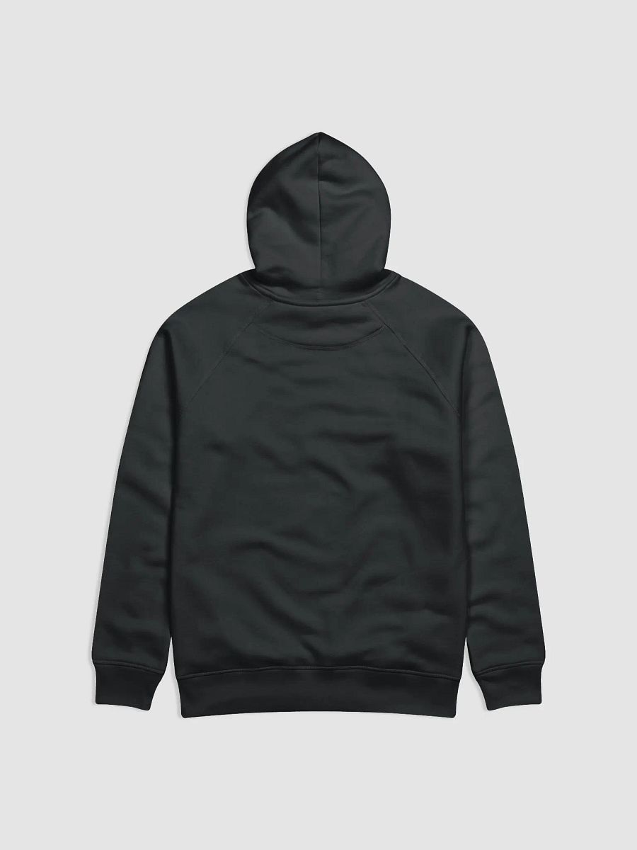 Fiddle Xray Hoodie product image (2)