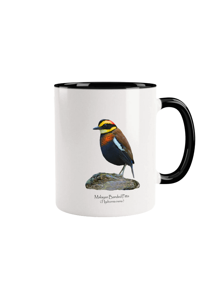 Malayan Banded Pitta mug product image (4)