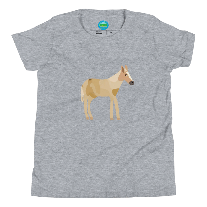 Jemmy Children's Shirt product image (1)