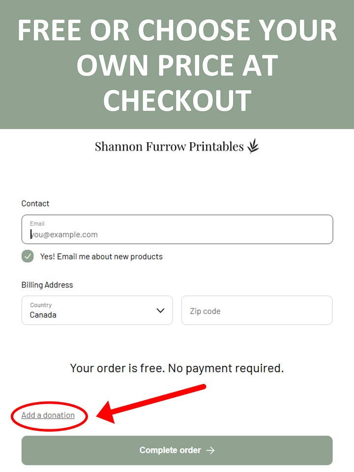 Beginner-Friendly Fourthwall Digital Shop Setup Tutorial product image (2)