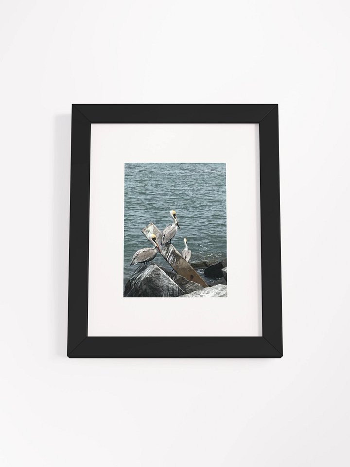 Coastal Avian Symphony Framed Poster product image (4)