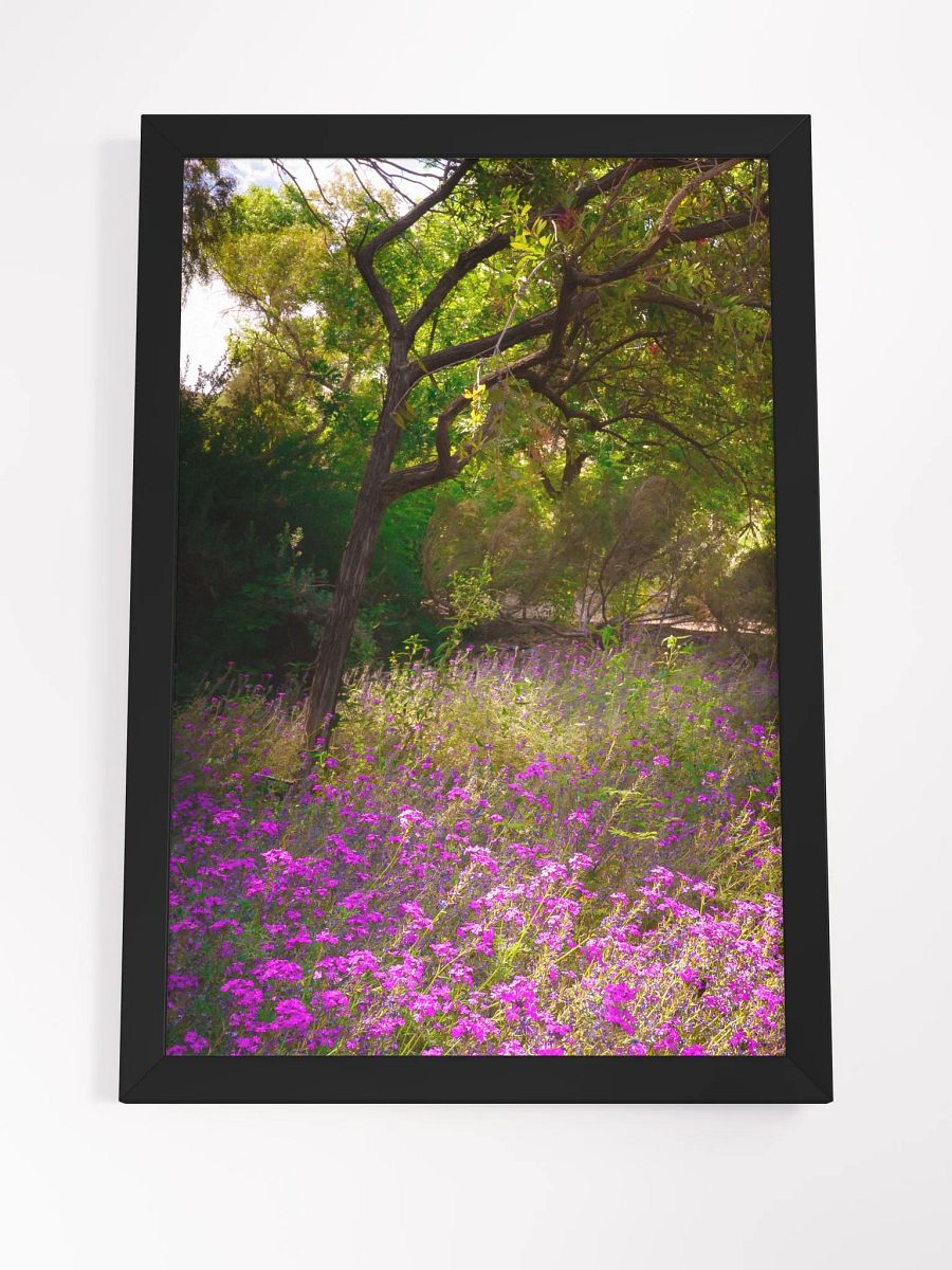 Wildflowers in Light product image (4)