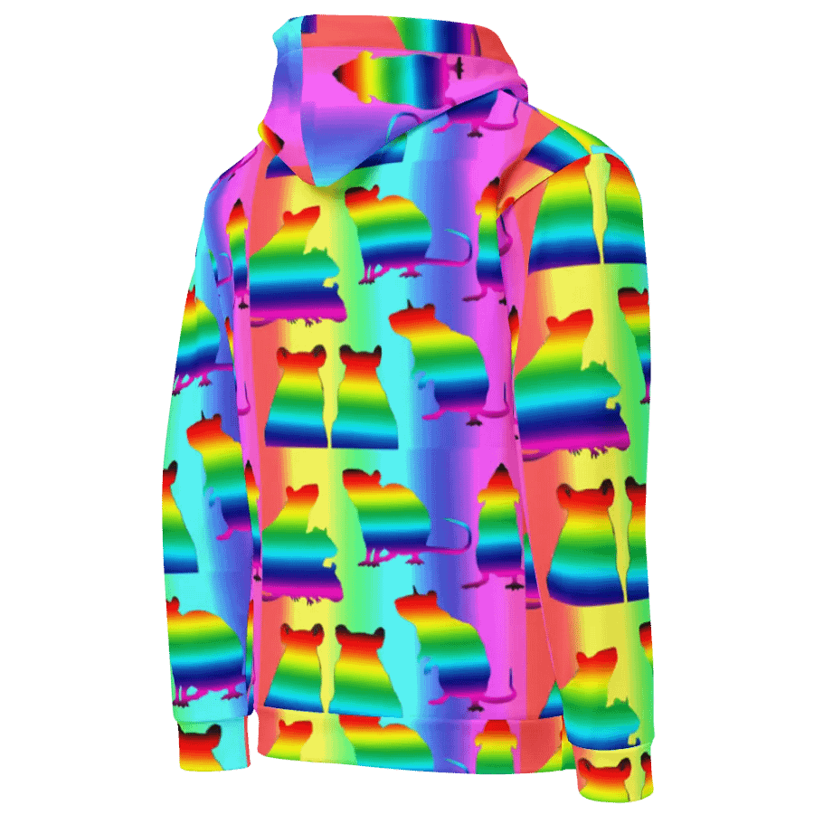 Rainbowed rats hoody product image (12)