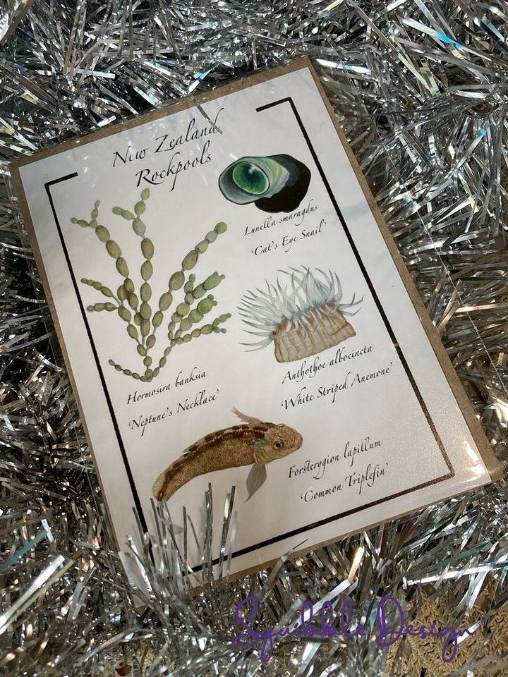 Mini Print - New Zealand Rockpools product image (1)
