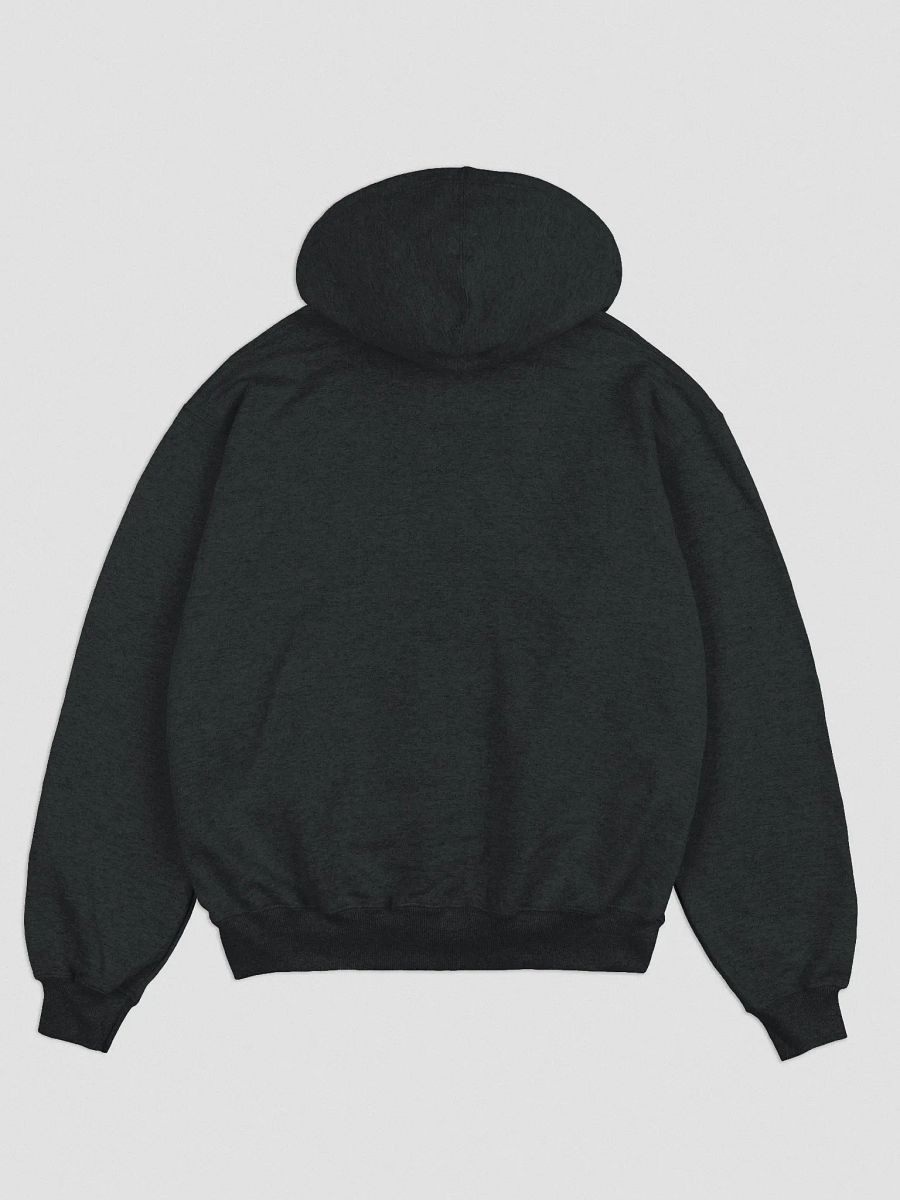 GBS Champion's Hoodie product image (6)