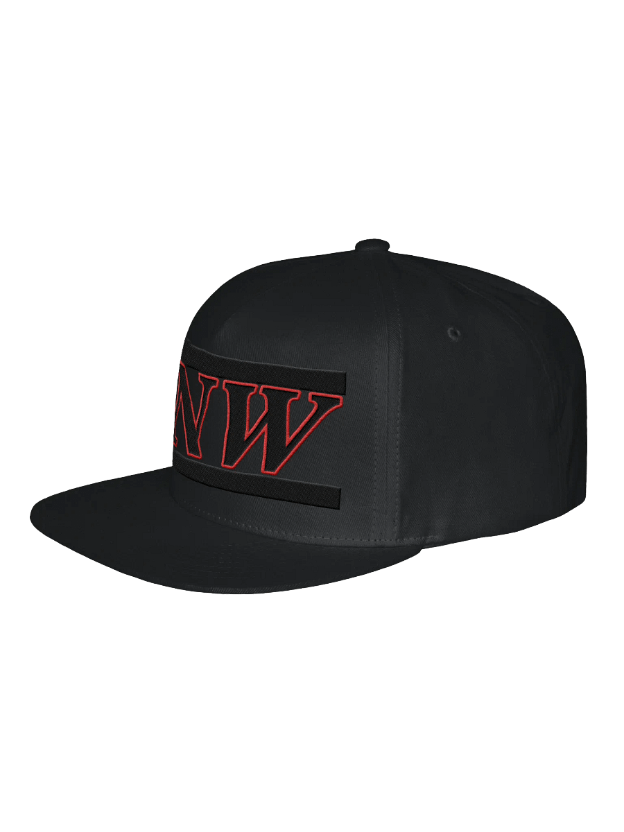 BNW Official Snap-Back Hat product image (2)