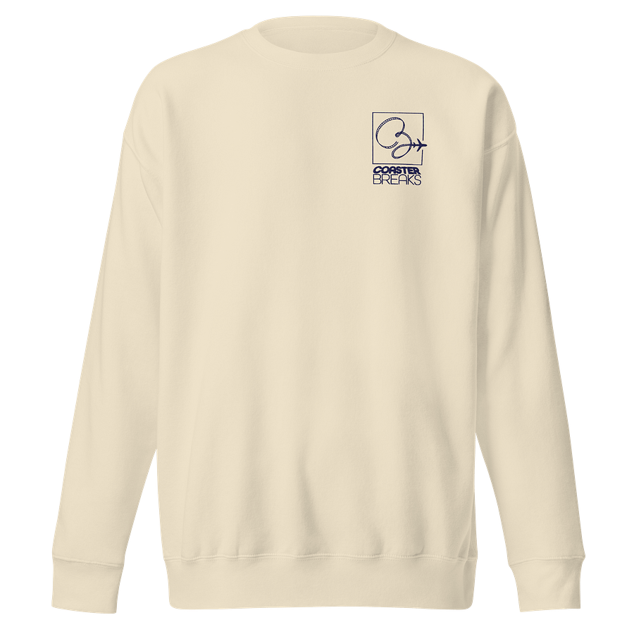 Central USA Square Logo Sweatshirt - Light Colours product image (4)
