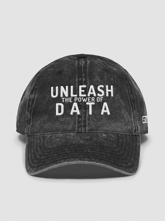 Unleash the Power of Data Embroidered Hat product image (1)