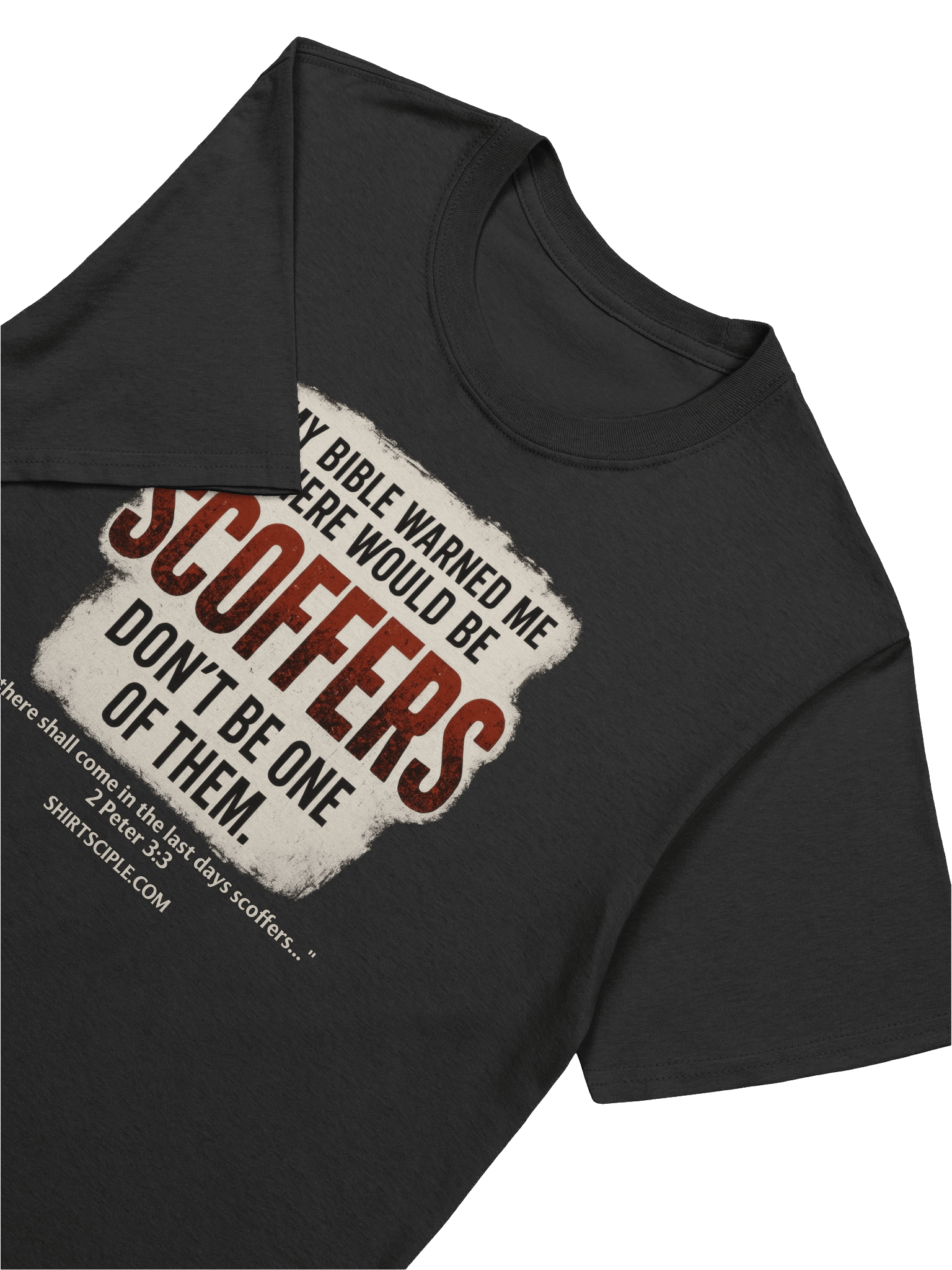 My Bible Warned Me There Would Be Scoffers T-Shirt product image (5)