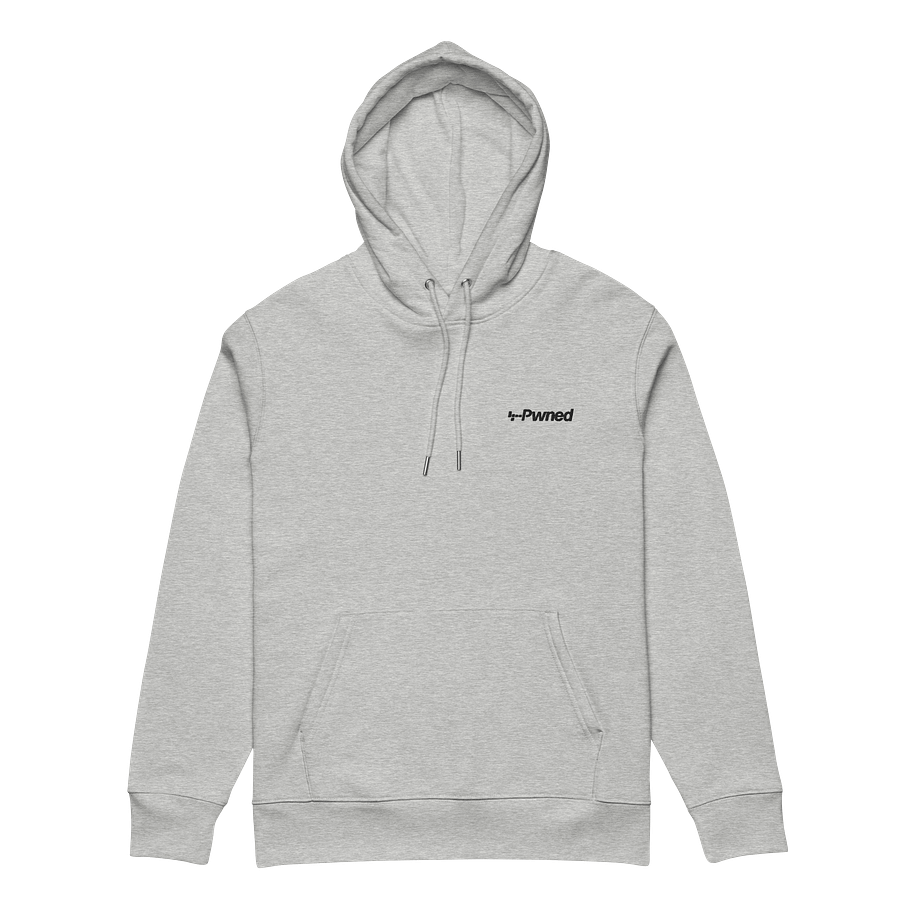 The Pwned Hoodie - Embroidered product image (5)