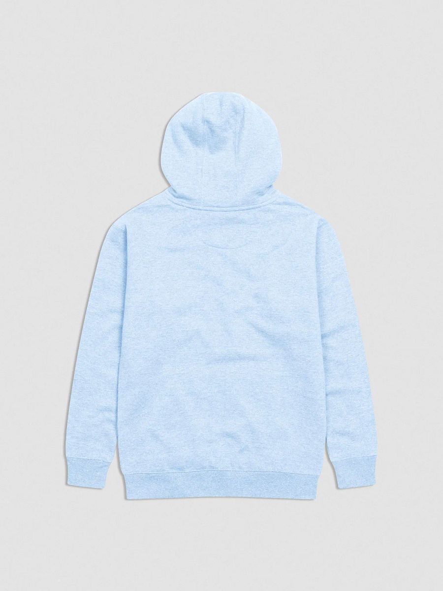 Bubbly and a B*tch (purple bubble design) embroidered heavyweight hoodie product image (31)