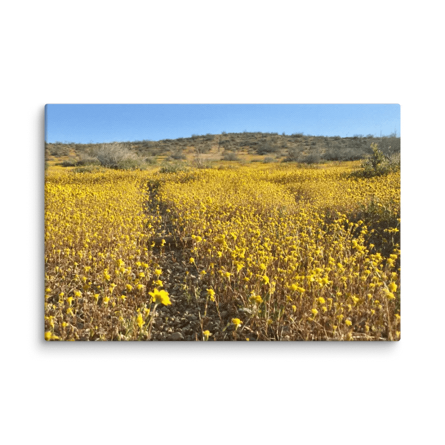 Canvas Print - Trail thru the Wildflowers product image (1)