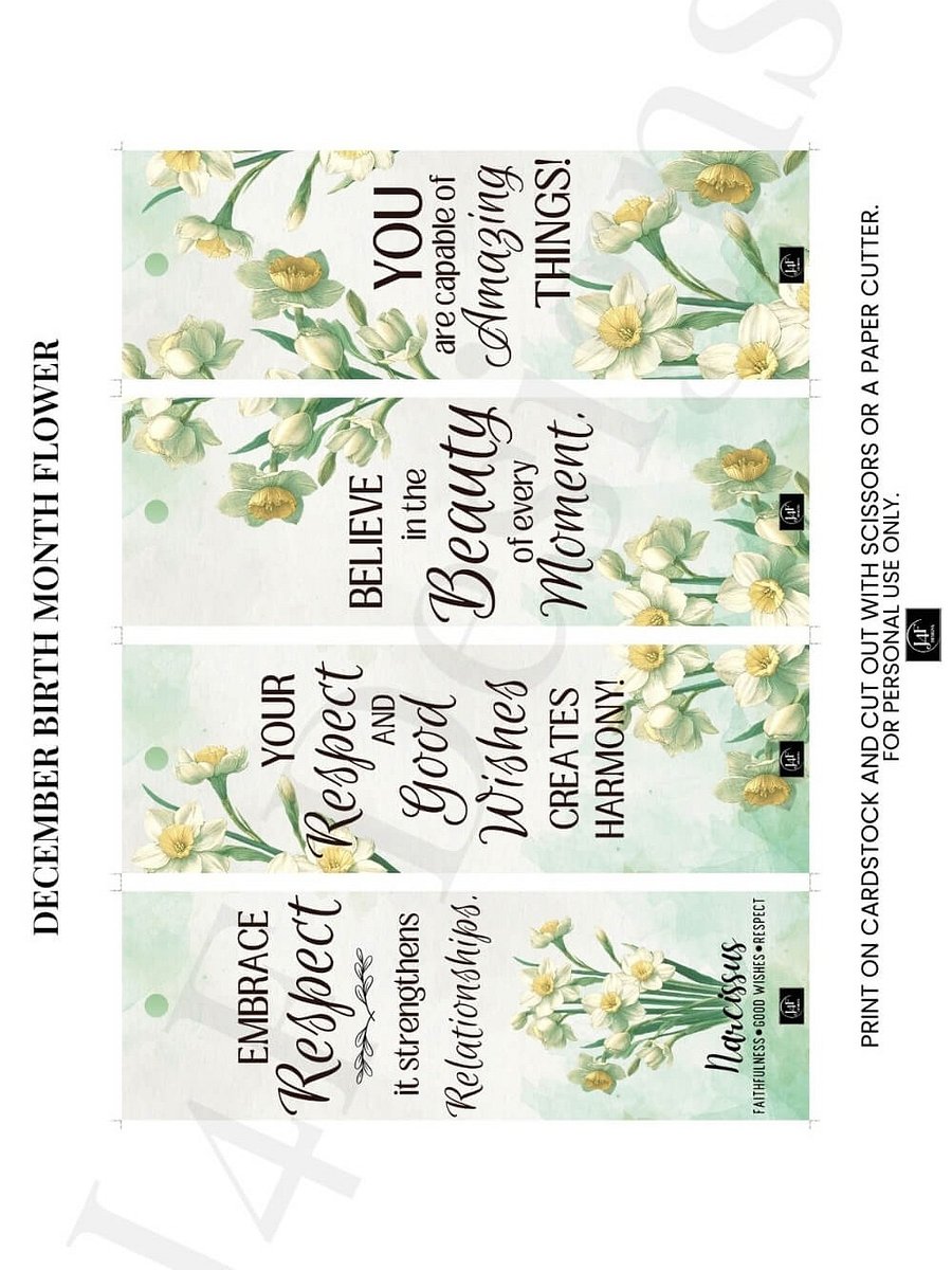 FREE Narcissus Bookmark Printable, Inspirational Sayings With December's Birth Month Flower product image (4)