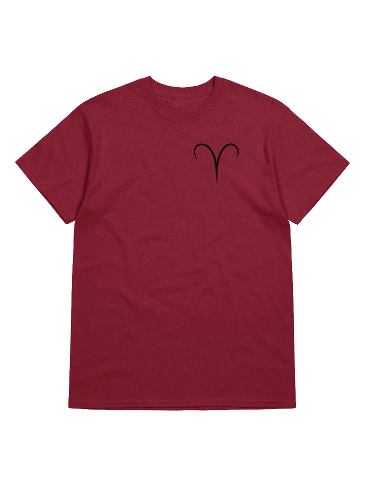 Aries T-shirt product image (1)