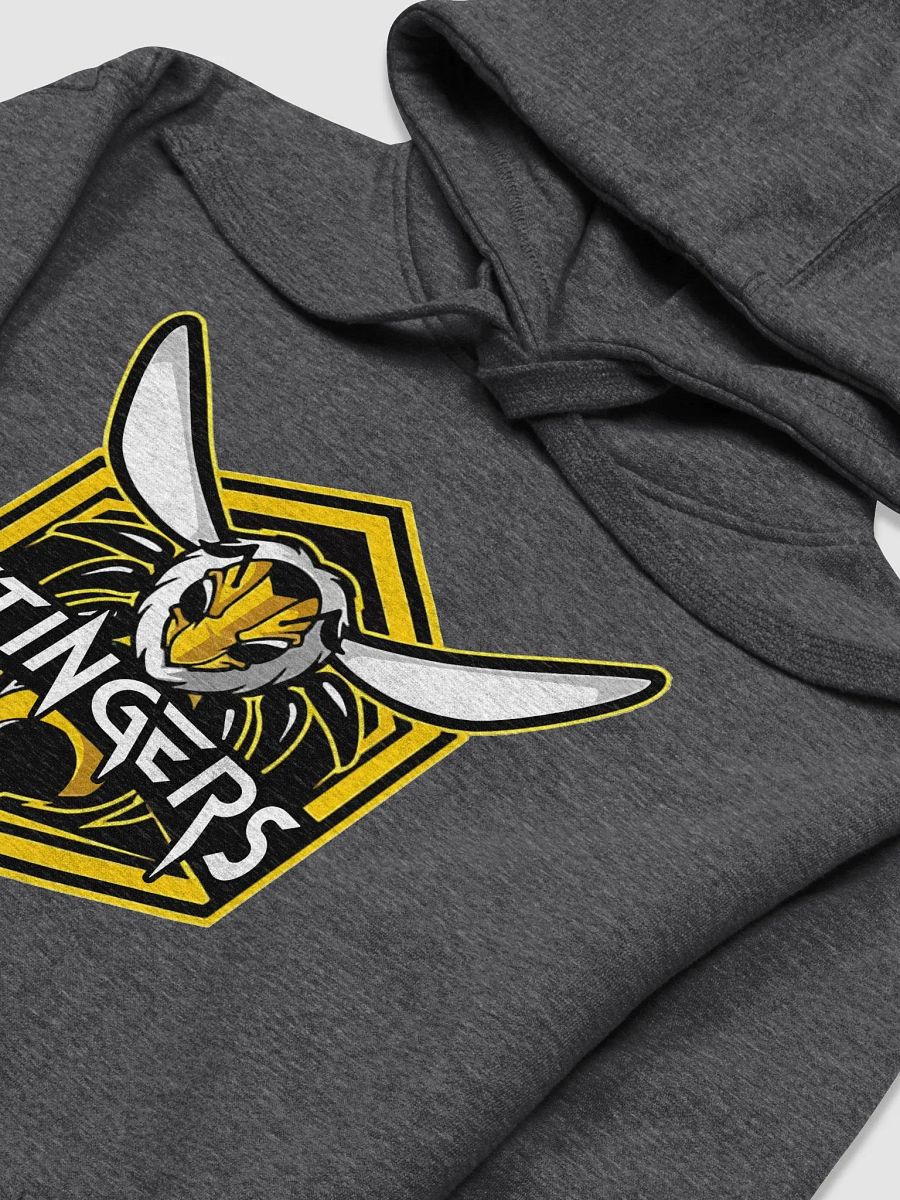 Sass City Stingers Hoodie product image (31)