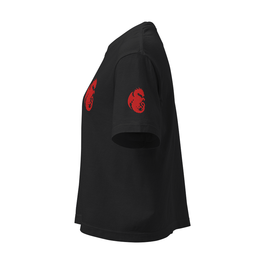 🔥100% COTTON - Red Dragon, Remember Who You Are 🔥 product image (13)