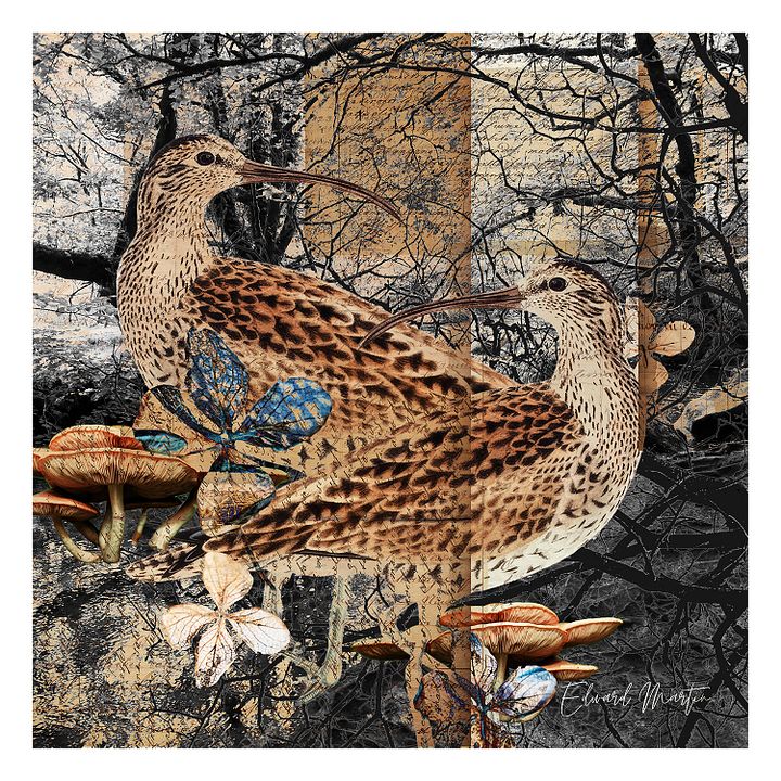Forest Sanctuary product image (1)